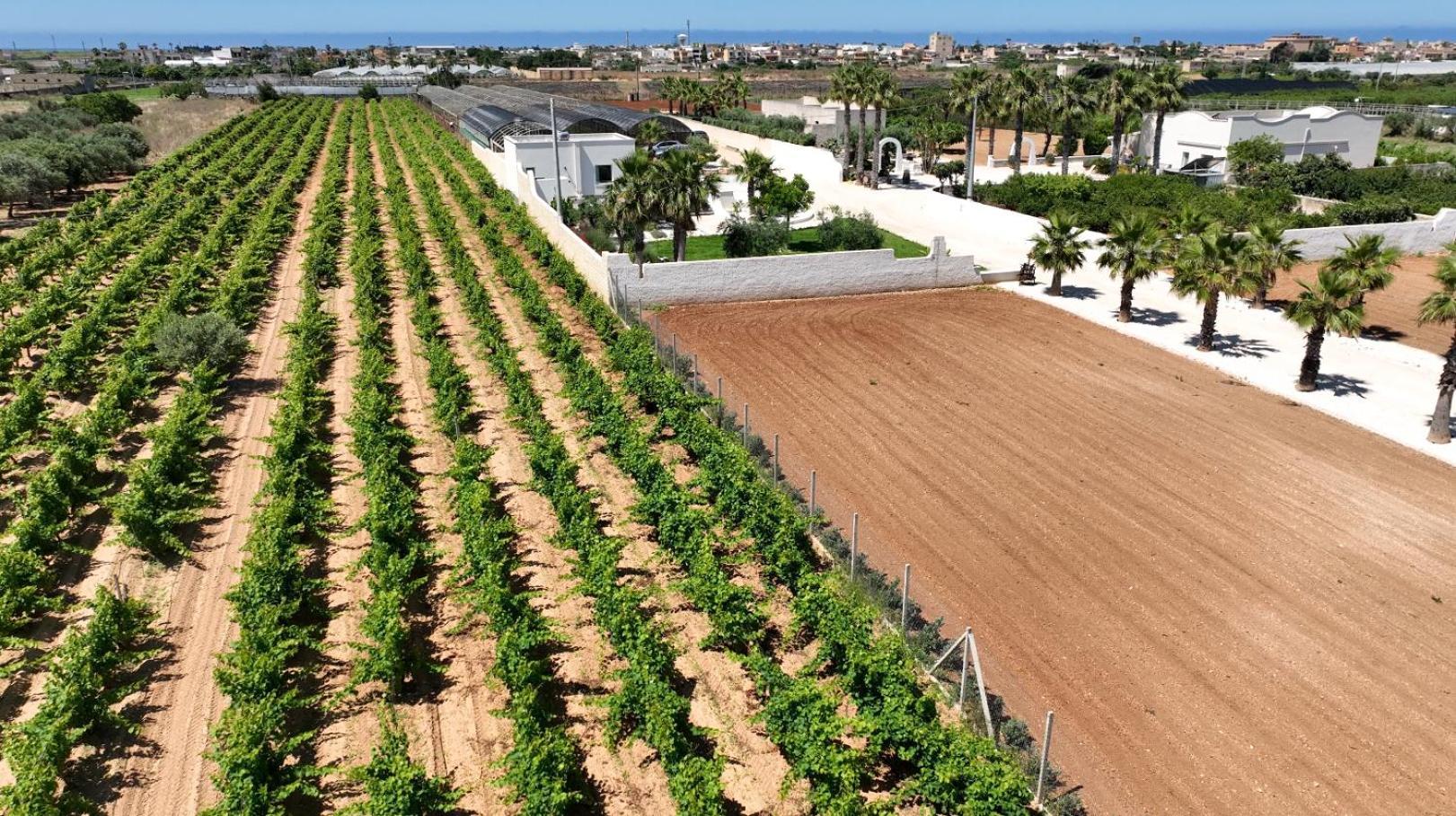 Casa Il Vigneto Marsala